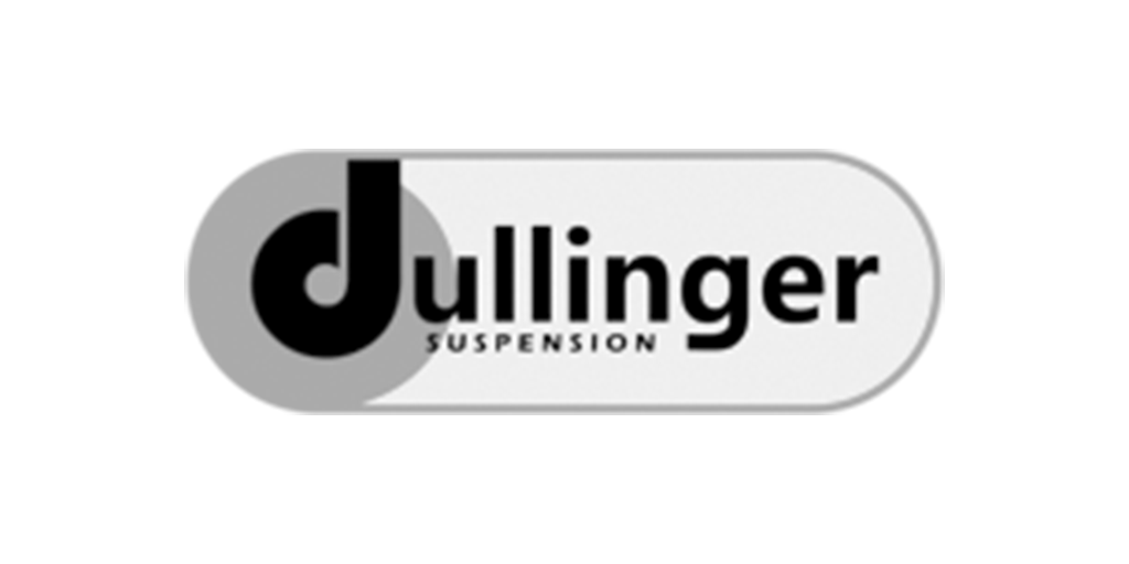 Dullinger Suspension